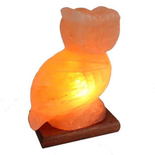 Himalayan Salt Howlett Shaped Lamp