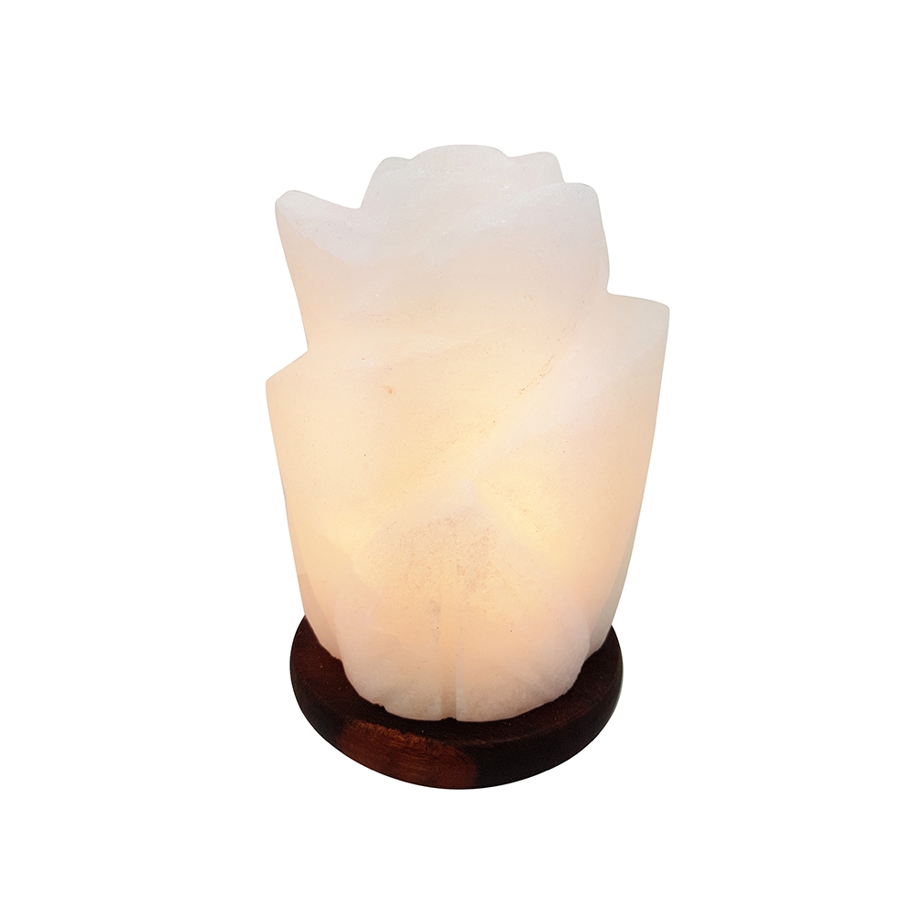 Rose Seashell Shaped White Salt Lamp