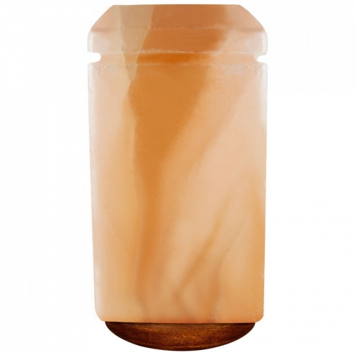 Pasternak Shaped Pink Salt Lamp