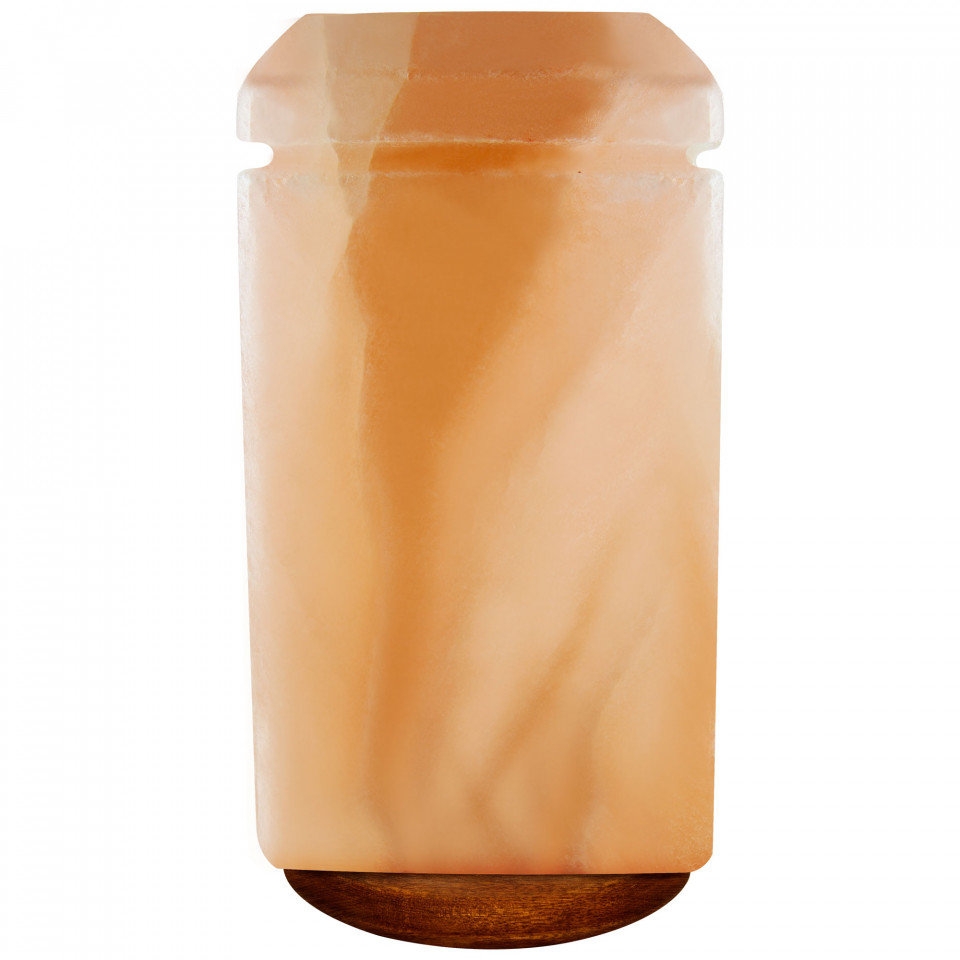 Pasternak Shaped Pink Salt Lamp