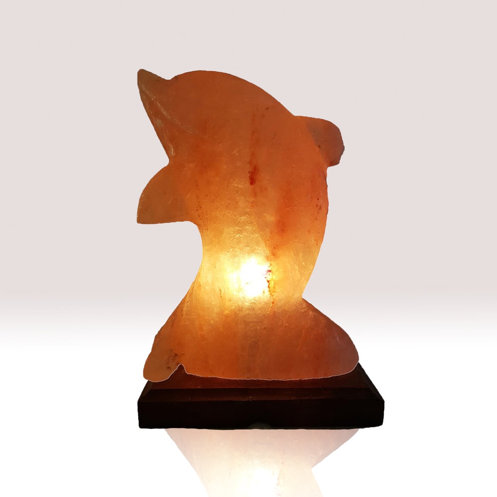 Himalayan Salt Dolphin Shaped Lamp