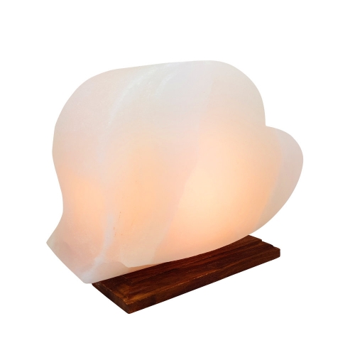 Heart Shaped White Salt Lamp