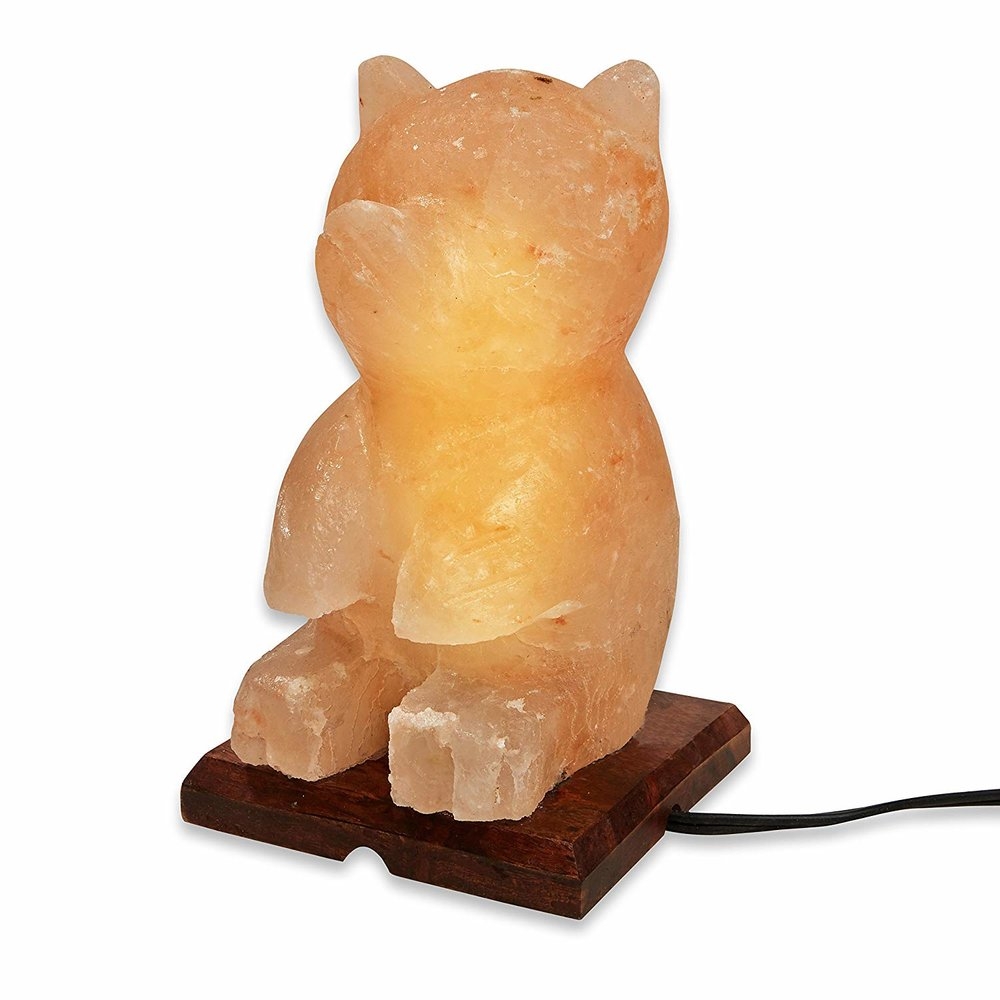 Himalayan Salt Teddy Bear Shaped Lamp