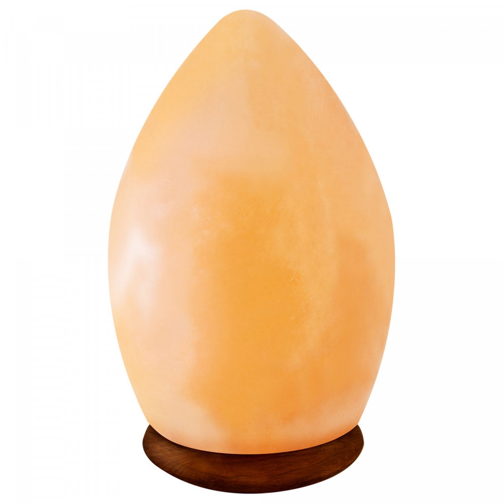 Egg Shaped Pink Salt Lamp